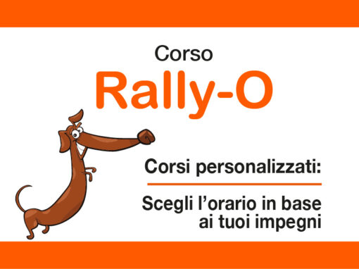 Rally O