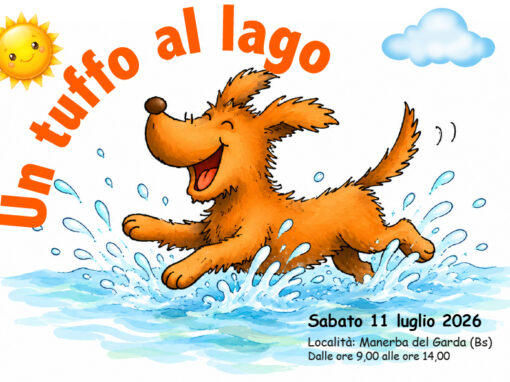 Un tuffo al lago 11 luglio 2026