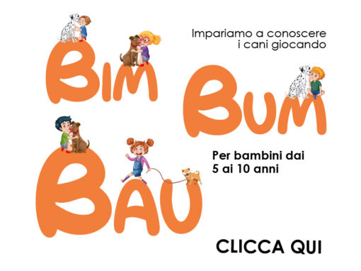 Bim Bum Bau