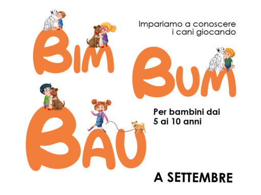 Bim Bum Bau