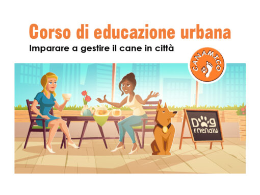 Corso educazione urbana