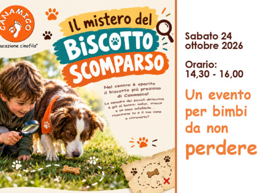 Il mistero del biscotto scomparso