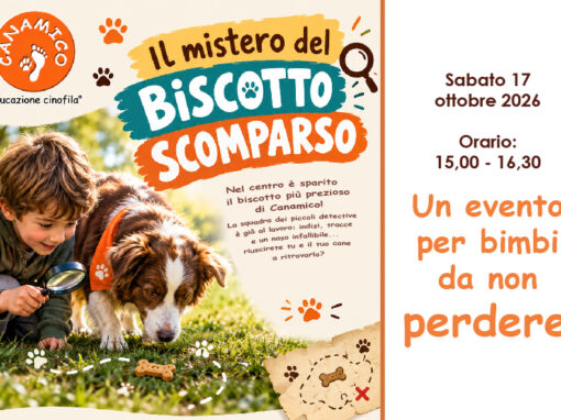 Il mistero del biscotto scomparso